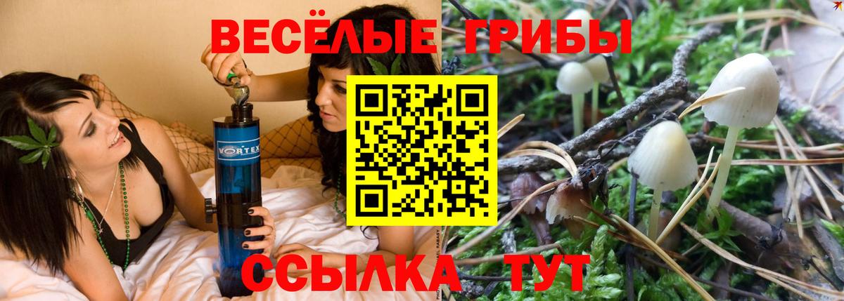 Галлюциногенные грибы GOLDEN TEACHER Горячий Ключ